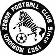 Zebra Morioka